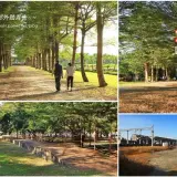 00014 1 南州糖廠小葉欖仁綠色隧道