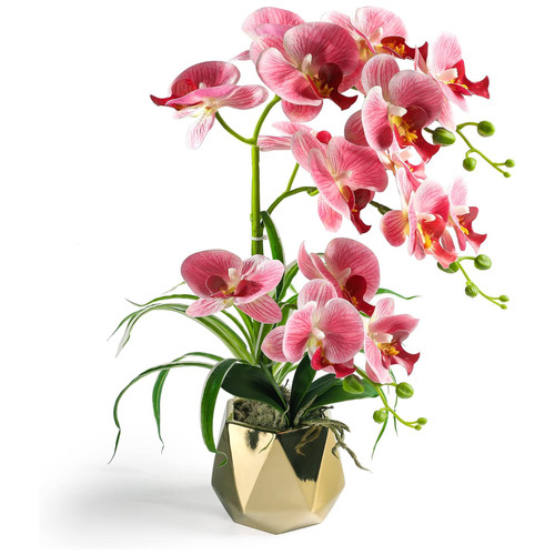 71Pb5nHw34L. AC SL1500 .jpg