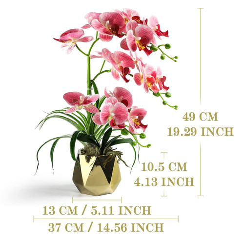 71Z18KiHa6L. AC SL1500 .jpg