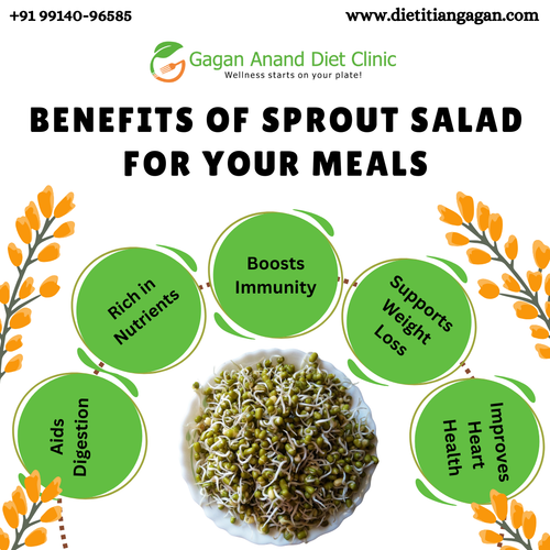 Benefits of Sprout Salad for Your Meals.png