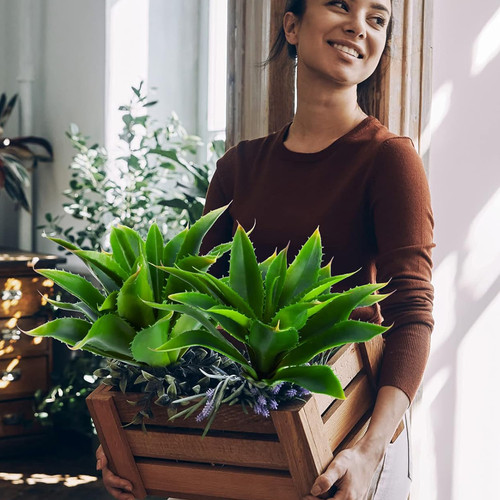 71sMlBonPlL. AC SL1500 .jpg