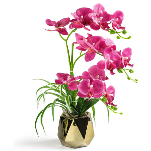 71SdbddzH3L. AC SL1500 .jpg