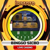 binggo sicbo.webp
