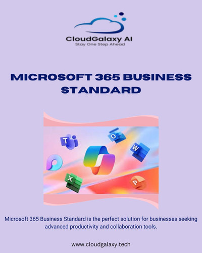 Microsoft 365 Business Standard (29).jpg
