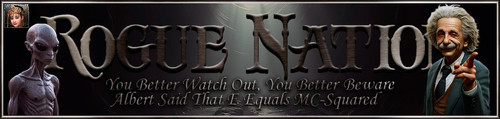 GoGo Banner.jpg