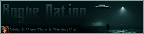 Fleet Banner.gif