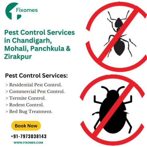 Pest Control Services in Chandigarh, Mohali, Panchkula &Zirakpur.jpg