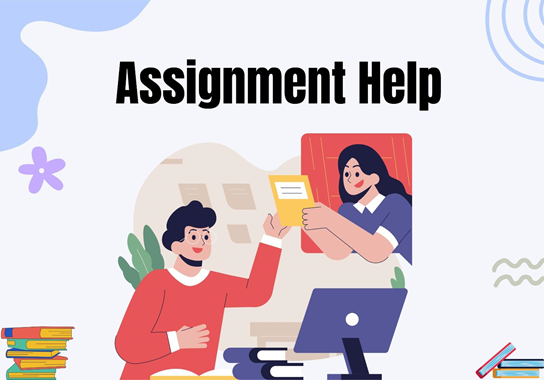 Assignment Assignment