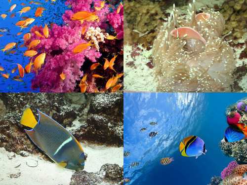 ' Glorified is The  All-Mighty Creator '.jpg