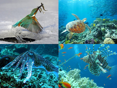 ' Glorified is The  All-Mighty Creator '.jpg