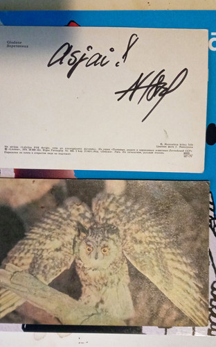 IMG 2025 02 02 15 44 02 633 DxO