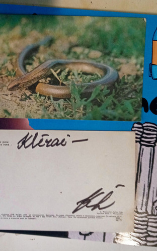 IMG 2025 02 02 15 43 43 795 DxO.jpg