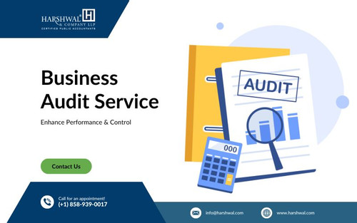 business audit service enhance performance HCLLP.jpg