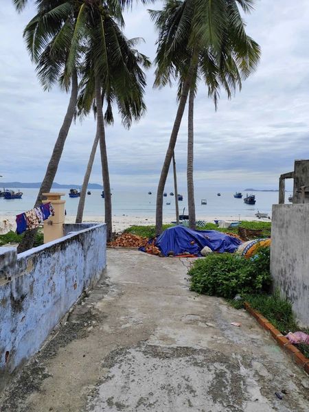 467750646 3803421863306098 4027945724429013059 n.jpg