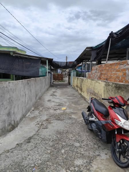 467761468 3803421819972769 8437679160917136241 n.jpg