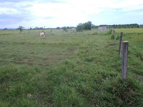 467197296 573177345308069 3821807523249569750 n.jpg