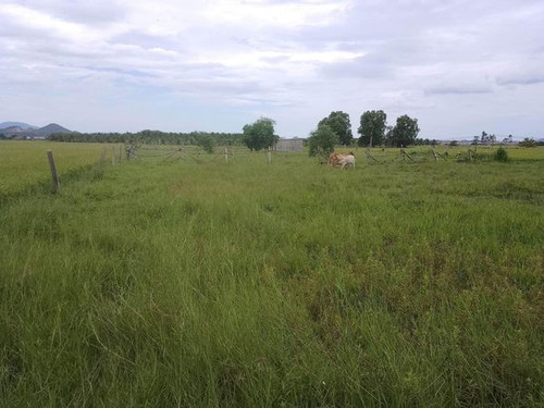 467197296 573177341974736 8291044593404427964 n.jpg