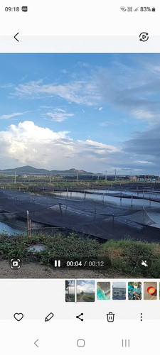 468290078 1493976531285179 5700700976206525494 n.jpg