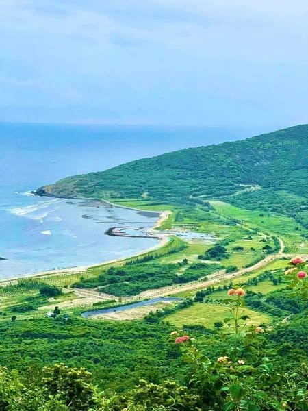 467512305 574493988509738 8200894598234299713 n.jpg