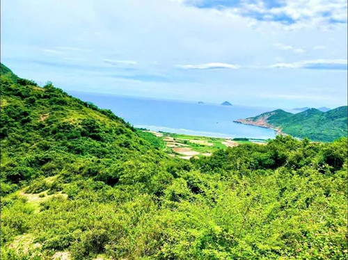 467511490 574493948509742 7305489075984217085 n.jpg