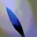 6vStoadwbYLXHR8.gif