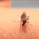 好喝到爆.gif