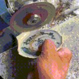 hq59rYsxiGJvym8.gif