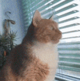 与母星的通讯连接中断.gif