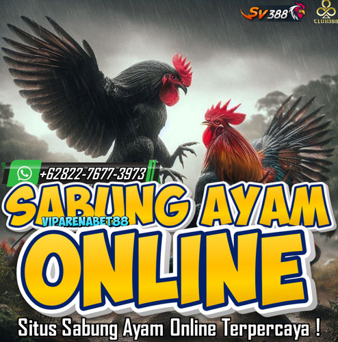 AGEN SABUNG AYAM ONLINE CLUB388 | SITUS SABUNG AYAM ONLINE.jpg