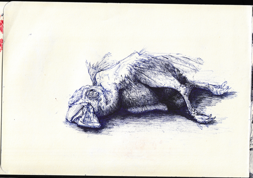 Scanner 20241126 (2).png