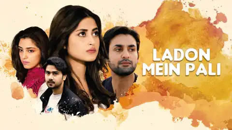 t105 ladon mein pali card.webp