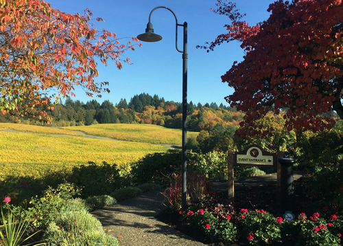 Willamette Valley Wine Tours.png