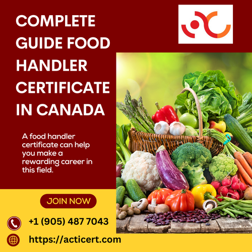 Complete Guide Food Handler Certificate In Canada.png