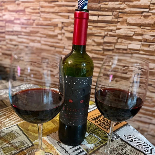 Vinho Picarón Cabernet Sauvignon 2021 ,um vinho rubi brilhante,com aromas de frutas negras, com toqu.jpg