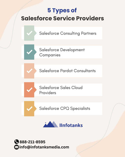 5 Types of Salesforce Services Providers.jpg