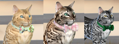 examples.png