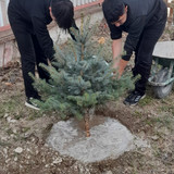 IMG 20240311 WA0003