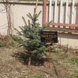 IMG 20240312 110736