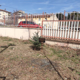 IMG 20240312 110744