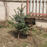 IMG 20240312 110738