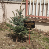 IMG 20240312 110734