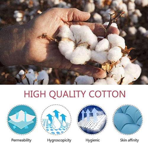 61SHyNViJkL. AC SL1001 .jpg