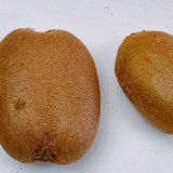 kiwi2420