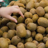 kiwi2424