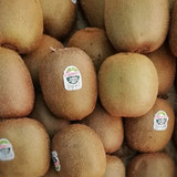 kiwi2421