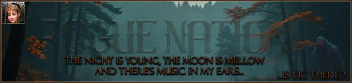 IsVic Banner.jpg