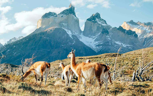 torres del paine patagonia PATAGONIA1216 dcdfa4dffdfe492e99aa7200865de3fe.jpg