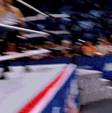fuflippy.gif
