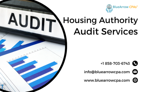 Housing Authority Audit Services.png