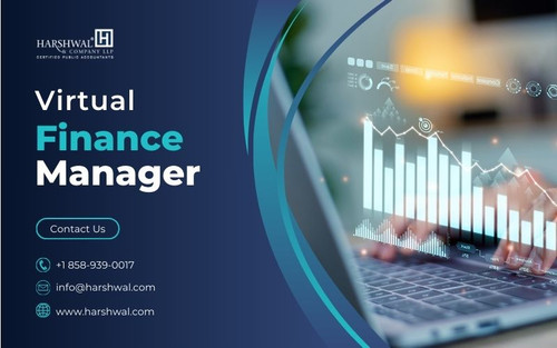 Virtual Finance manager maximize potential with HCLLP.jpg